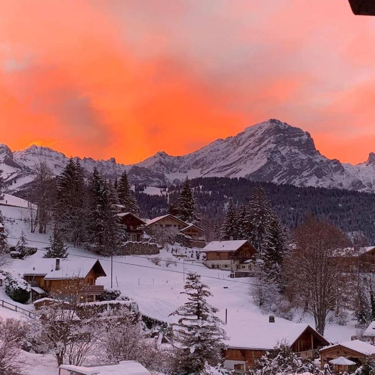 Chalet Le Slalom - Apartment - 35