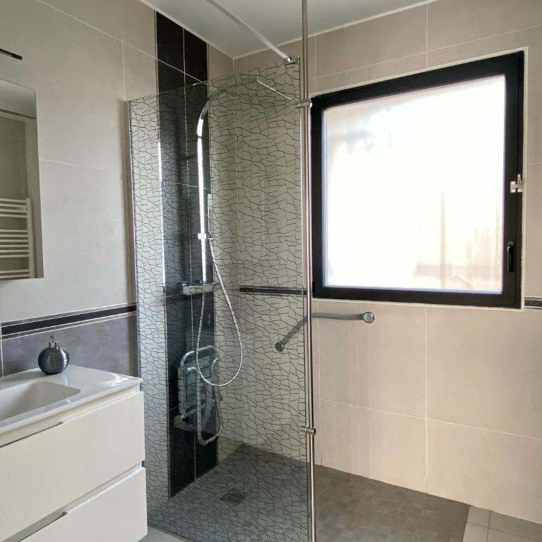 FLAMANTS ROSES 4 Accesible PMR - Appartement - 10