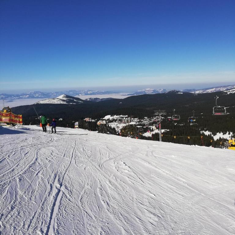 Apartman Div Kopaonik - One-Bedroom Apartment - 41