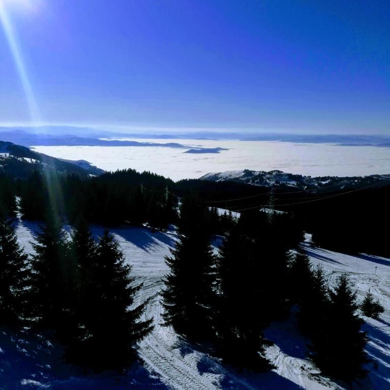 Apartman Div Kopaonik - One-Bedroom Apartment - 42
