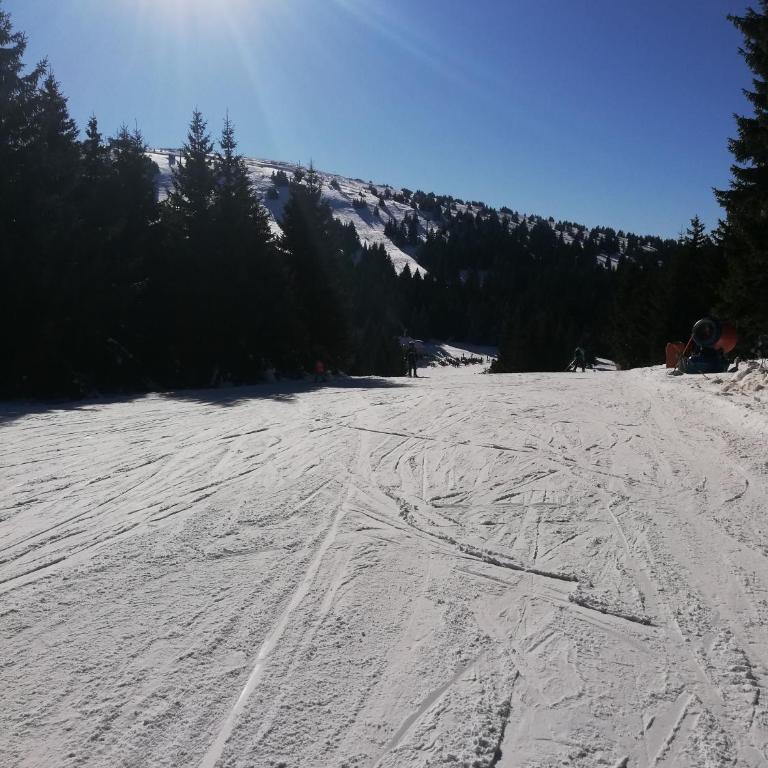 Apartman Div Kopaonik - One-Bedroom Apartment - 43
