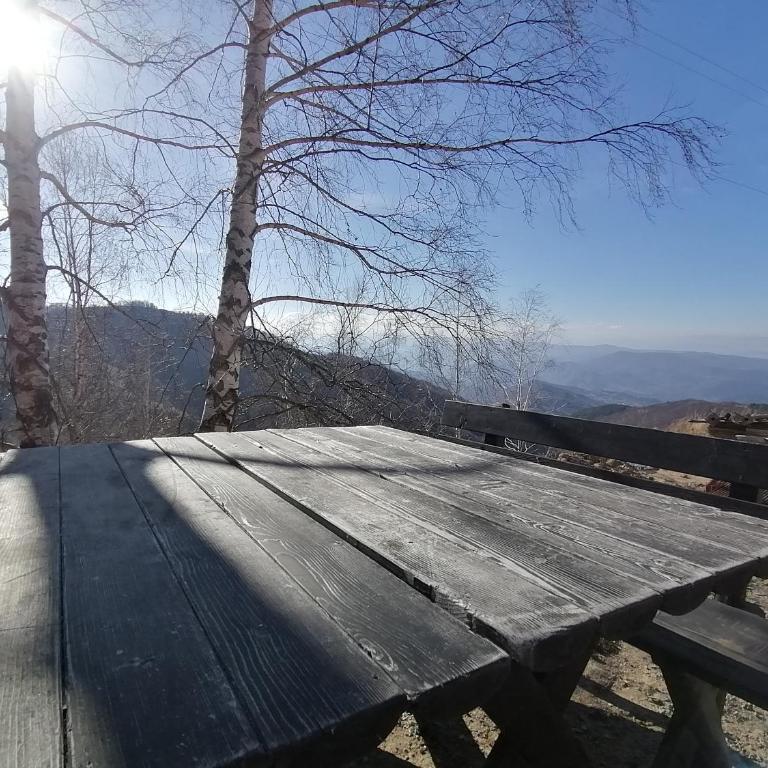 Apartman Div Kopaonik - One-Bedroom Apartment - 27