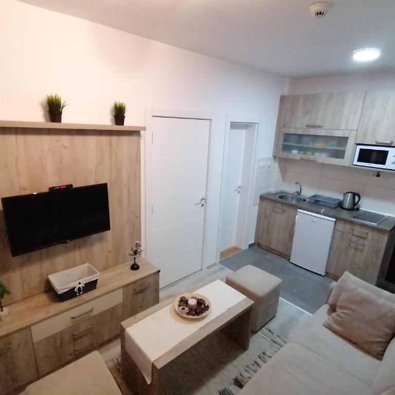 Apartman Div Kopaonik - One-Bedroom Apartment - 3