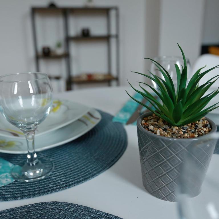 Mraz - One-Bedroom Apartment - 19