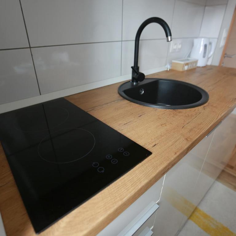 Mraz - One-Bedroom Apartment - 18