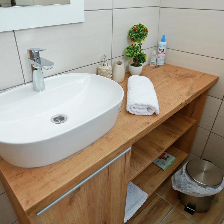 Mraz - One-Bedroom Apartment - 15