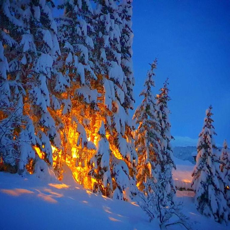 HIESERHOF - Superior Alpine Apartments - Superior Apartment - 9