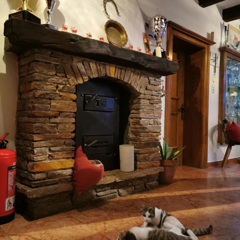 Gut Römerhof - Appartement avec Balcon - 9