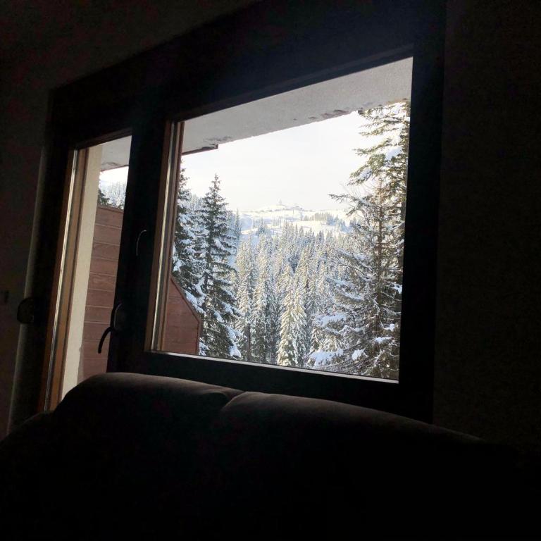 Apartman Kosuta B3 - One-Bedroom Apartment with Balcony and Mountain View - 10