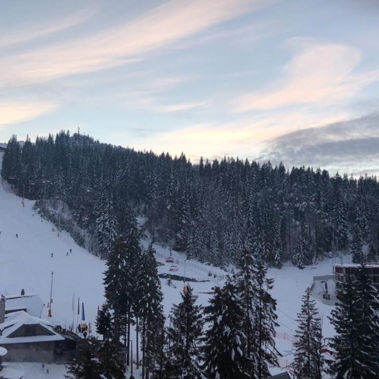 Winter Home Jahorina - One-Bedroom Apartment - 12