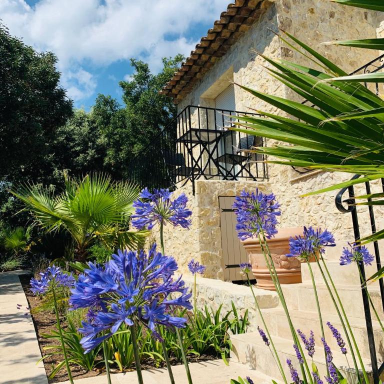 Villa Grand Baie - Studio "Colibri" with Partial Sea View - 14