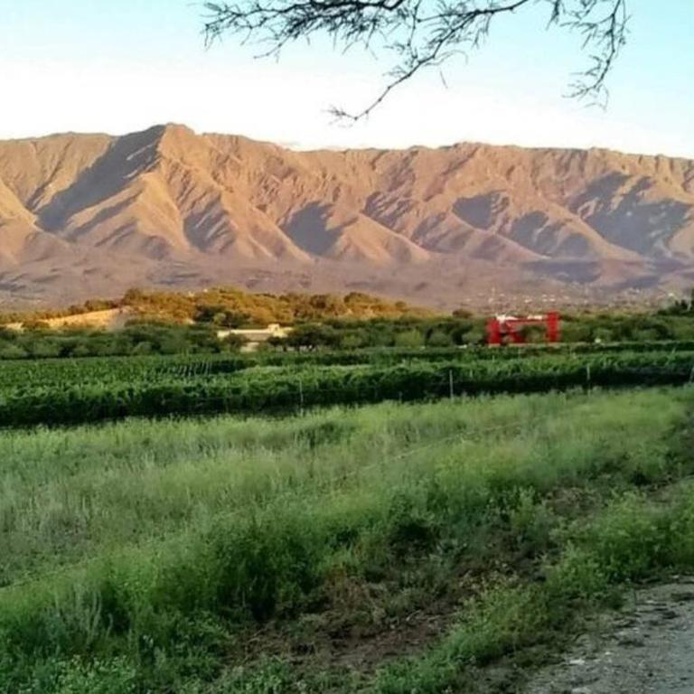 Casa de campo Verdon - Comarca Biodinamica La Matilde - Casa de 2 dormitorios - 12