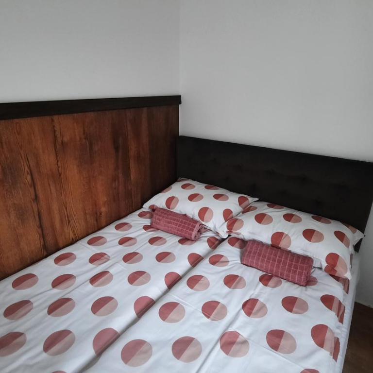 Apartman Pogled Sokobanja - Apartman sa 1 Spavaćom Sobom - 8