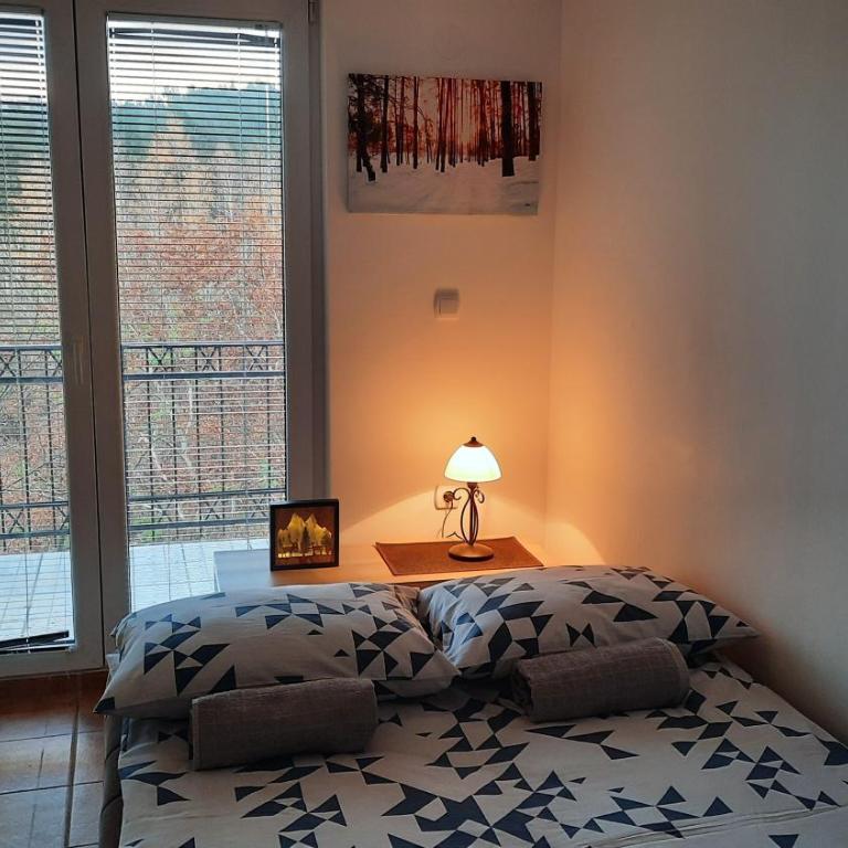 Apartman Pogled Sokobanja - Apartman sa 1 Spavaćom Sobom - 18