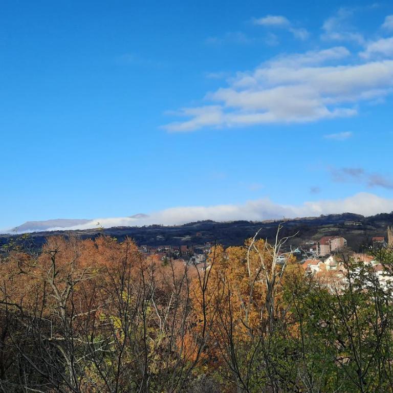 Apartman Pogled Sokobanja - Apartman sa 1 Spavaćom Sobom - 20