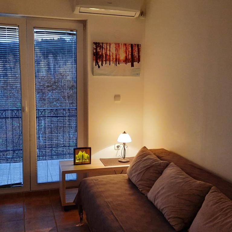 Apartman Pogled Sokobanja - Apartman sa 1 Spavaćom Sobom - 3