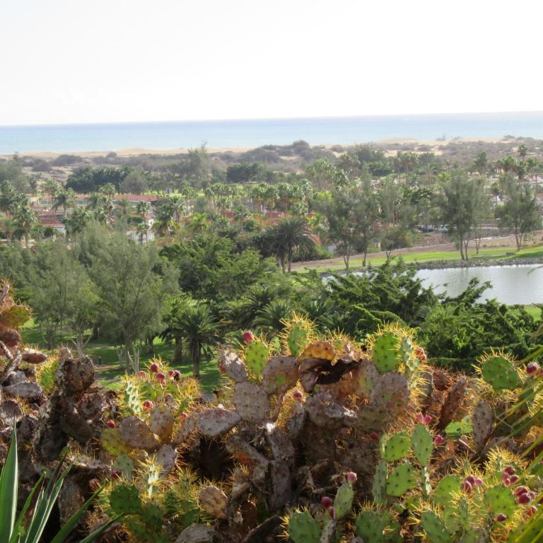 Villa in Duna Golf - Villa con vistas al mar - 16