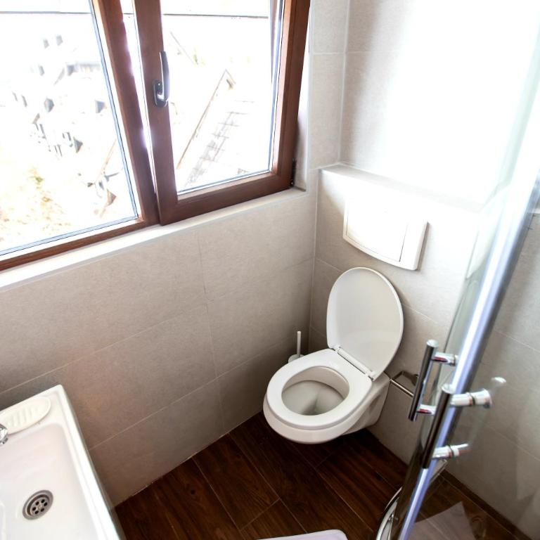 Vuk & Sofija Apartmani - Deluks Studio - 10