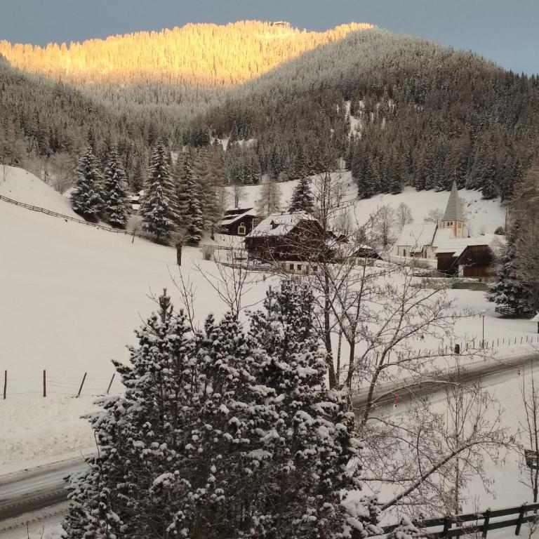 Rosies Family Apartment Bad Kleinkirchheim - Apartment mit 1 Schlafzimmer - 16