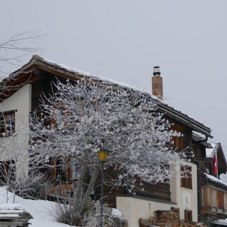 Châlet Birkhahn - Chalet - 37