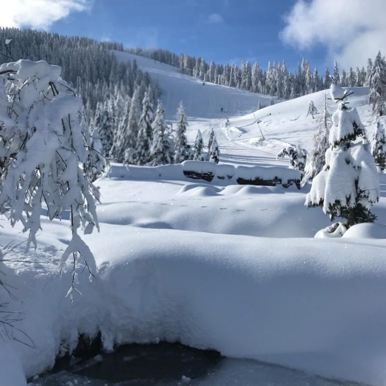 Marktlhütte - Chalet - 85