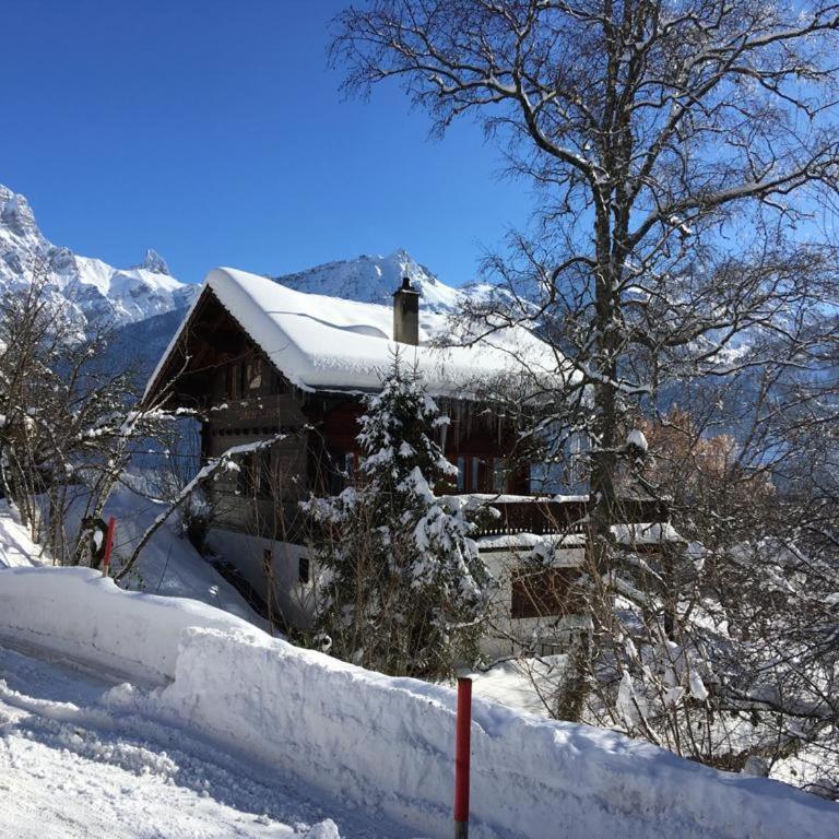 Chalet Blanche Neige - Chalet - 2