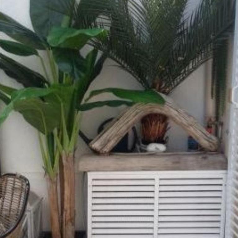 BANDOL Magnifique appartement en RDC cour sans vis à vis 5mn plage - Apartamento de 1 dormitorio - 3