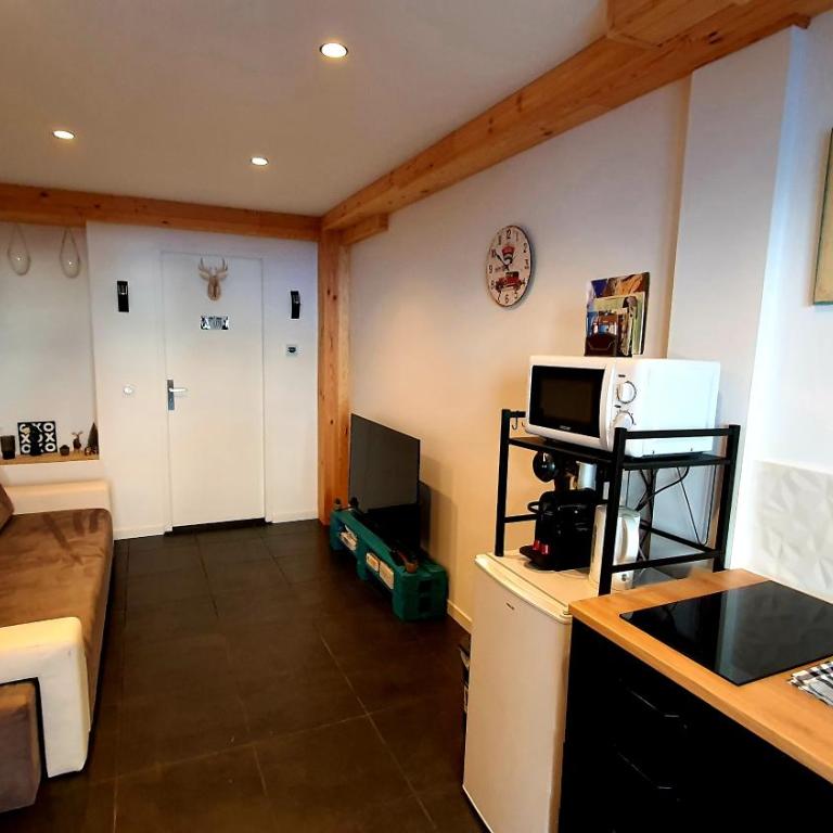 La pause de L'Ours - Appartement 1 Chambre - 1