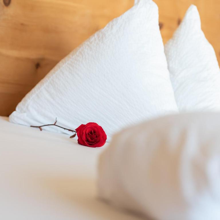 Biobauernhof St. Quirinus - Appartamento con 1 Camera da Letto e Balcone - 5