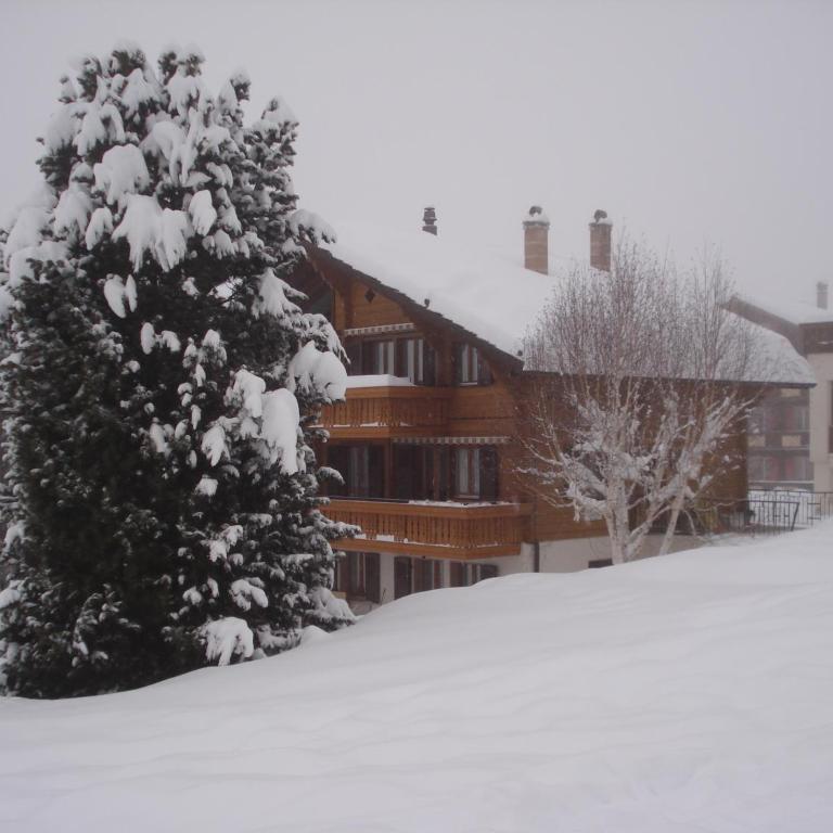 Chalet Petunia - Appartement 2 Chambres avec Terrasse - 38