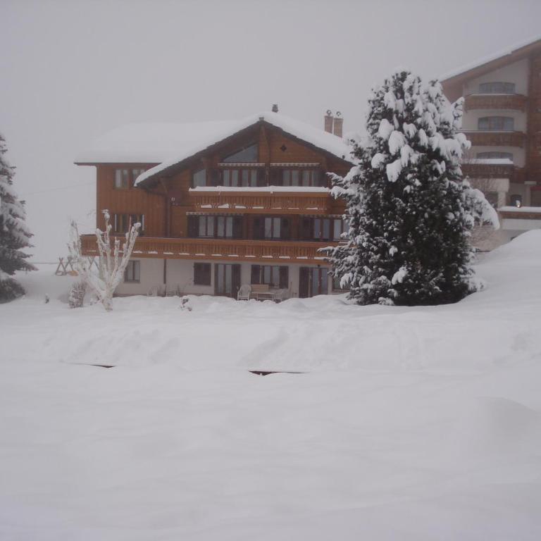 Chalet Petunia - Appartement 2 Chambres avec Terrasse - 39