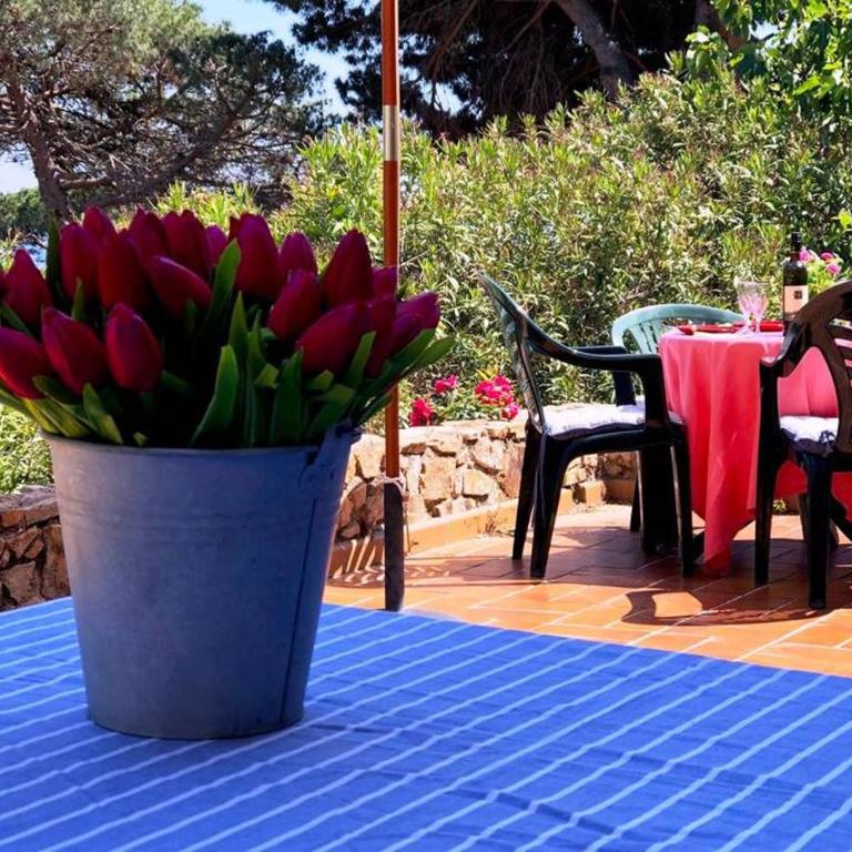 Kerstin Bruns - Casa Marina with sea view - Casa de 2 dormitorios - 12