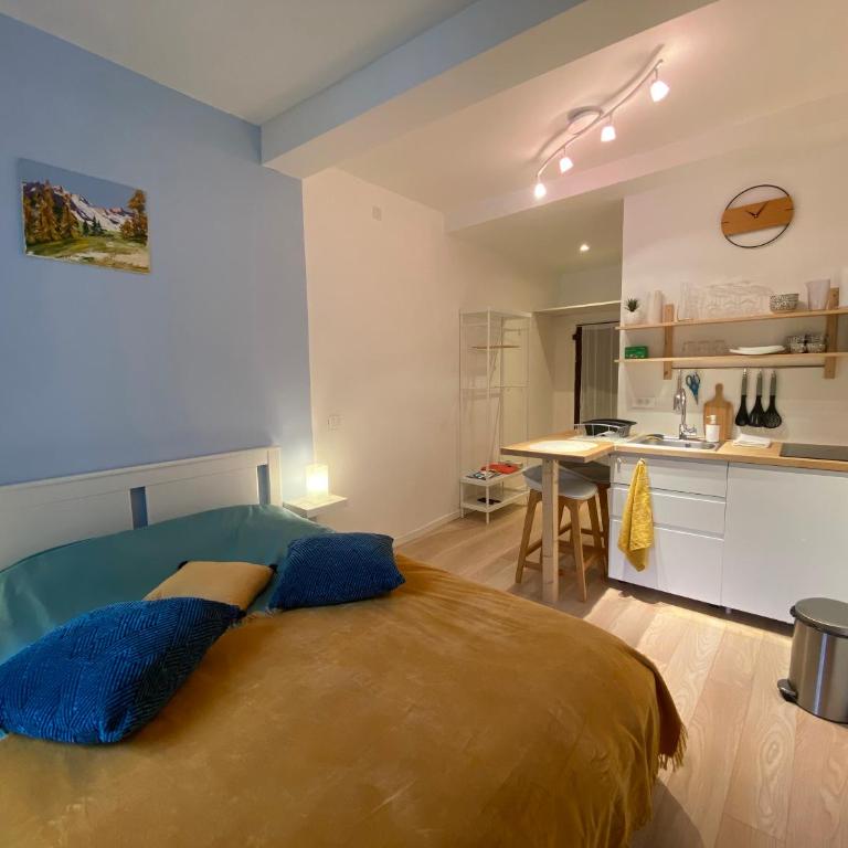 Studio très agréable proche de Auron - Appartement 1 Chambre - 1