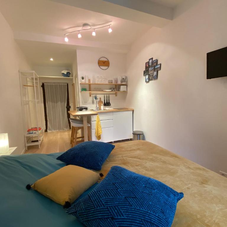 Studio très agréable proche de Auron - Appartement 1 Chambre - 3