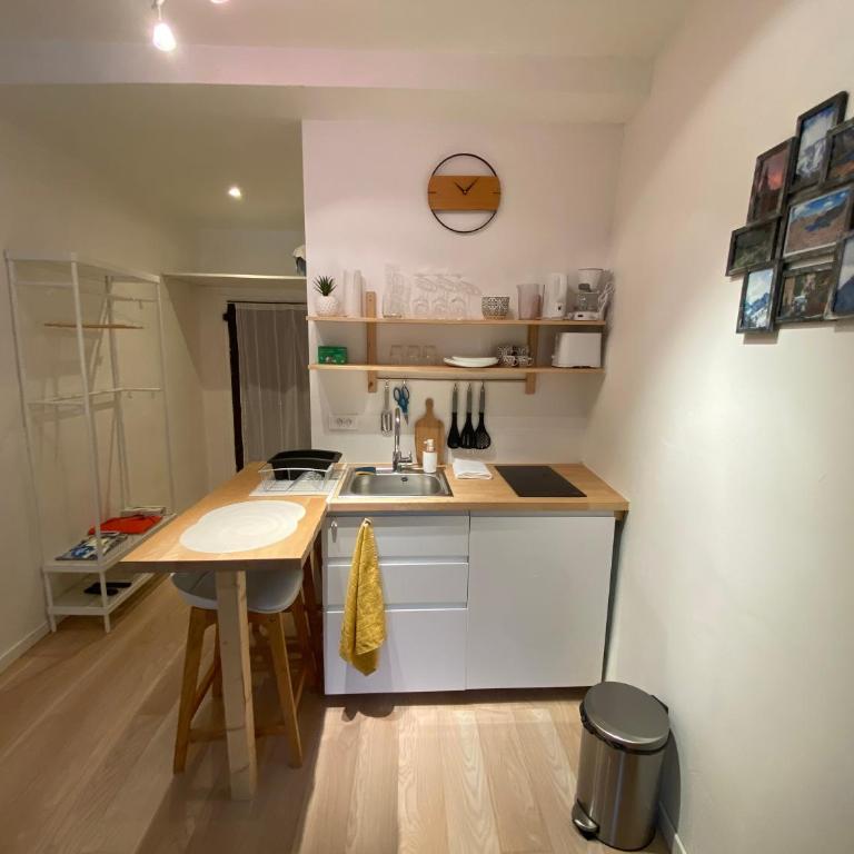 Studio très agréable proche de Auron - Appartement 1 Chambre - 4