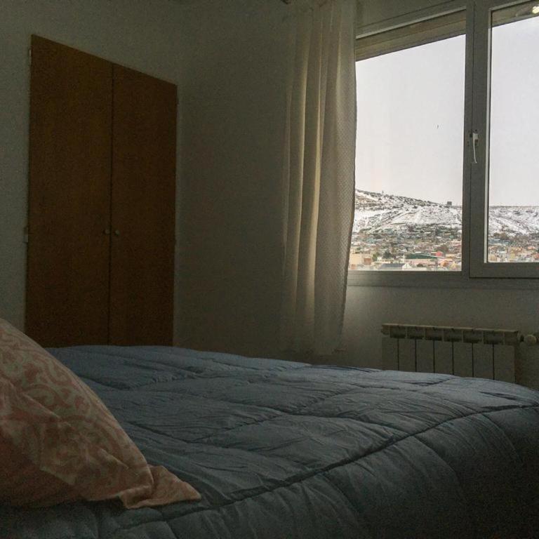CactuS - Apartamento de 1 dormitorio - 2