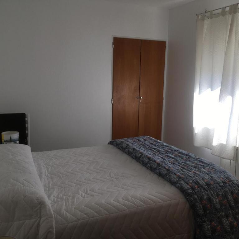 CactuS - Apartamento de 1 dormitorio - 6