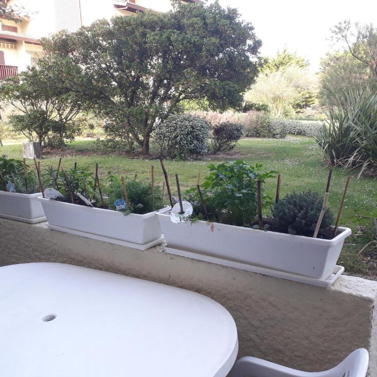 Appartement Seignosse Océan - Apartment - Ground Floor - 18