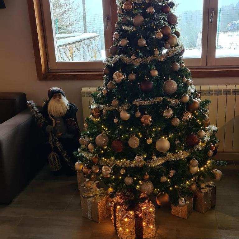 Apartman No1,Župa Wellness & Spa Kopaonik - One-Bedroom Apartment - 19