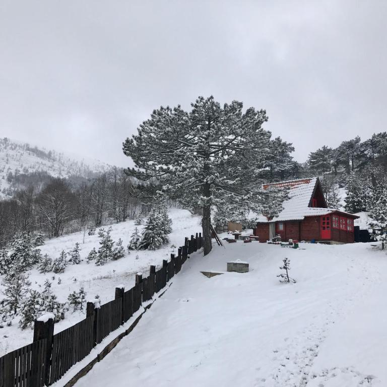 Brvnara ispod Čigote - One-Bedroom Chalet - 29
