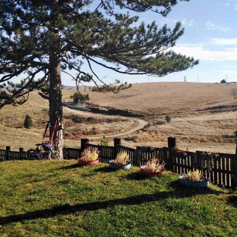 Brvnara ispod Čigote - One-Bedroom Chalet - 27