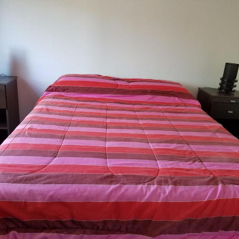 DEPARTAMENTO CALAFATE CENTRICO #3 - Apartamento de 3 dormitorios - 10