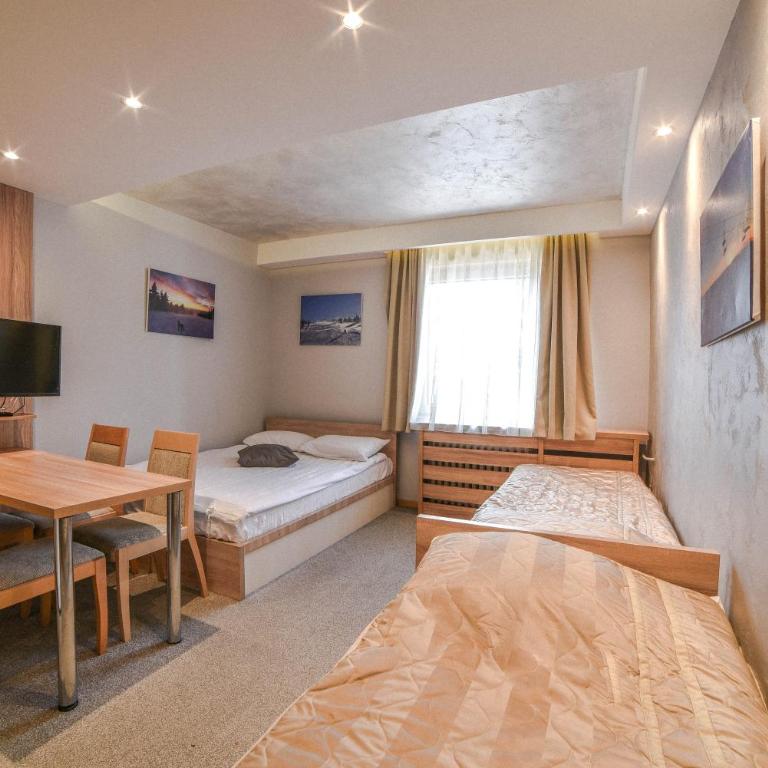 Apartments Suncani Vrhovi Kopaonik - Studio Apartment - 3