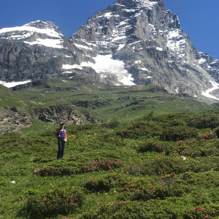 Piccolo paradiso in centro Cervinia - Appartamento con 1 Camera da Letto - 21