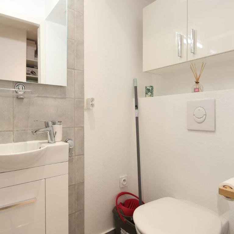 Charming Studio Centre Ville De Lyon - Studio - 9
