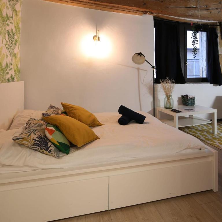 Charming Studio Centre Ville De Lyon - Studio - 3