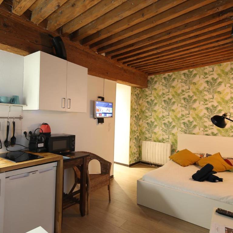 Charming Studio Centre Ville De Lyon - Studio - 1