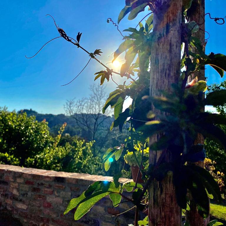 Palazzo del Papa Country Suites - Appartamento Superior - 55
