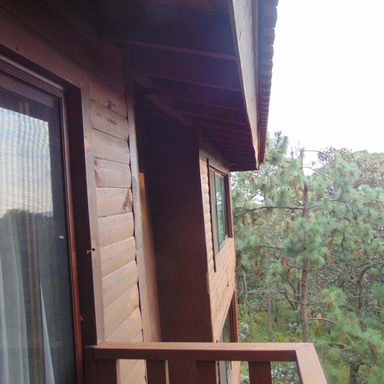Cabaña dentro del Bosque para 24 Personas - Chalet - 23
