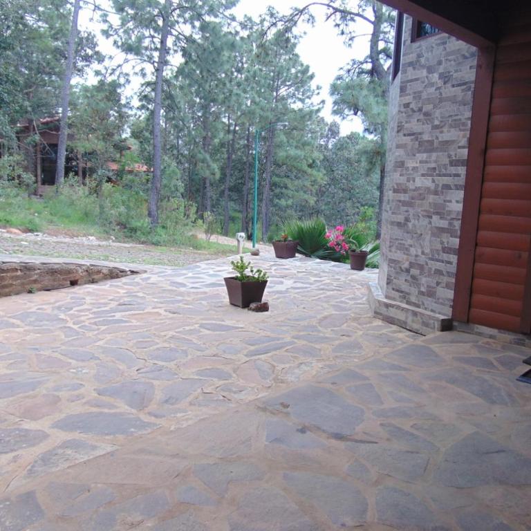 Cabaña dentro del Bosque para 24 Personas - Chalet - 49